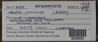 Image Associated With the Occurence